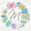 Picture of SWEET SUCCULENTS WREATH MONOGRAM M