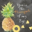 Picture of FRESH FRUIT SENTIMENT BLACK I-PINEAPPLE