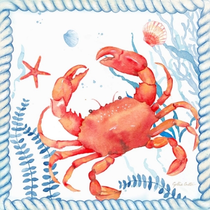 Picture of NAUTICAL SEA LIFE I-CRAB