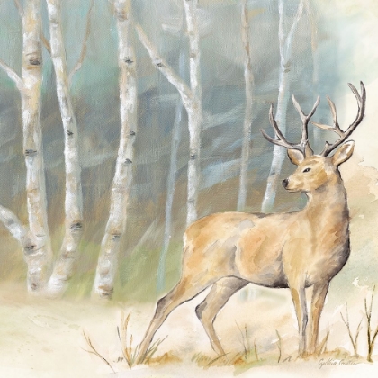 Picture of WOODLAND REFLECTIONS III-DEER