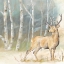 Picture of WOODLAND REFLECTIONS III-DEER