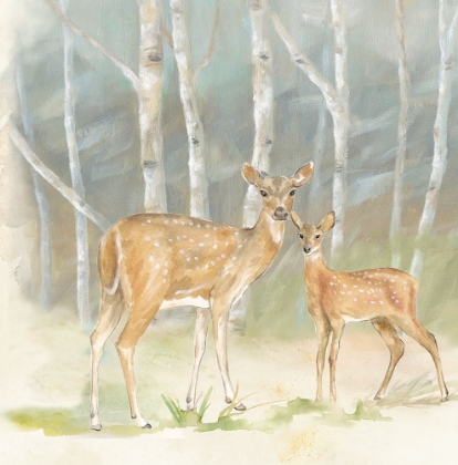Picture of WOODLAND REFLECTIONS IV-DOE