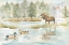 Picture of WOODLAND REFLECTIONS LANDSCAPE II