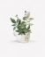 Picture of BOTANICAL MUG I