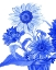Picture of CHINA SUNFLOWERS BLUE II 