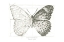 Picture of BUTTERFLY SKETCH LANDSCAPE II