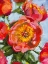 Picture of ROSE MIX