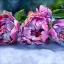 Picture of ROSES LYING DOWN