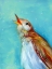 Picture of BIRDCALL