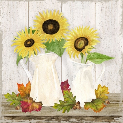 Picture of FALL SUNFLOWERS IV