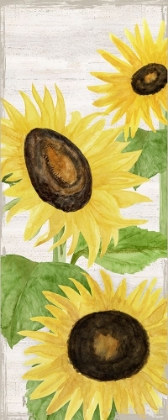 Picture of FALL SUNFLOWERS PANEL II