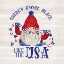 Picture of PATRIOTIC GNOMES III-USA