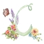 Picture of WATERCOLOR HERB BLOSSOM MONOGRAM C