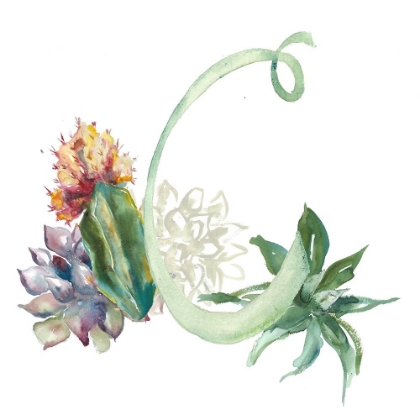 Picture of WATERCOLOR SUCCULENT MONOGRAM C