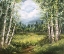 Picture of COLORADO MEADOW LANDSCAPE