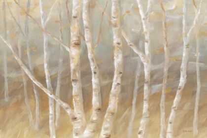 Picture of AUTUMN BIRCH LANDSCAPE