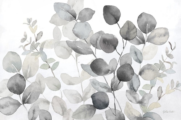 Picture of EUCALYPTUS LEAVES LANDSCAPE NEUTRAL