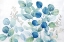 Picture of EUCALYPTUS LEAVES LANDSCAPE BLUE GREEN