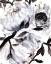 Picture of FARMHOUSE WHITE BUSH II