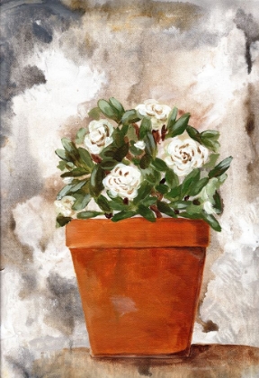 Picture of WHITE FLOWER CLAY POT I