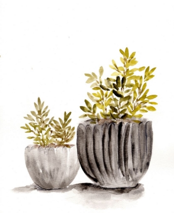 Picture of GRAY POTTED PLANTS