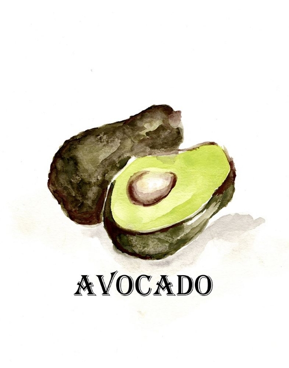 Picture of VEGGIE SKETCH  II-AVOCADO