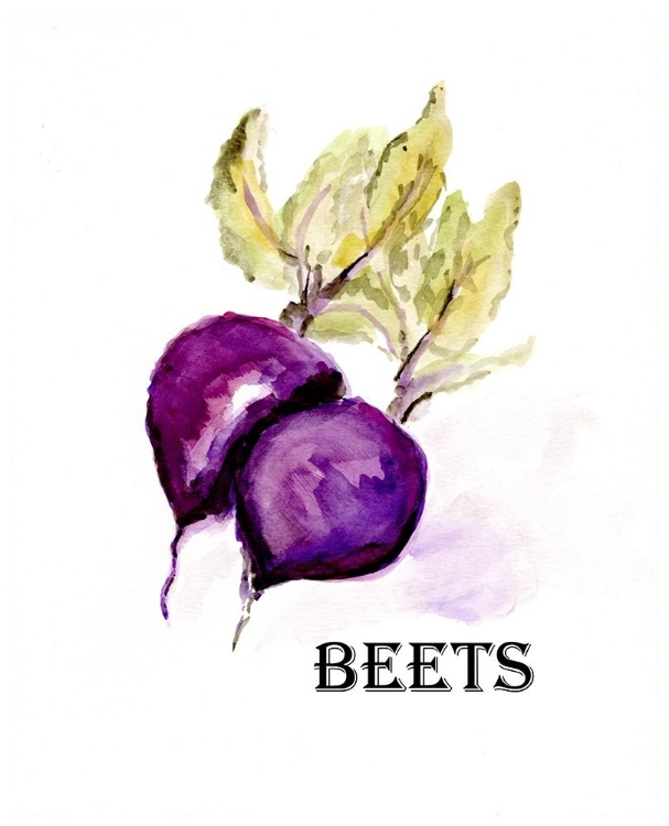 Picture of VEGGIE SKETCH  III-BEETS