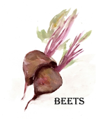 Picture of VEGGIE SKETCH  IV-BROWN BEETS