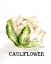Picture of VEGGIE SKETCH  VI-CAULIFLOWER