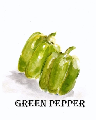 Picture of VEGGIE SKETCH  VIII-GREEN PEPPER