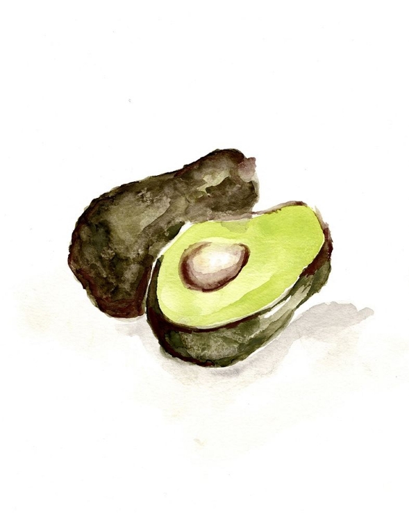 Picture of VEGGIE SKETCH PLAIN  II-AVOCADO