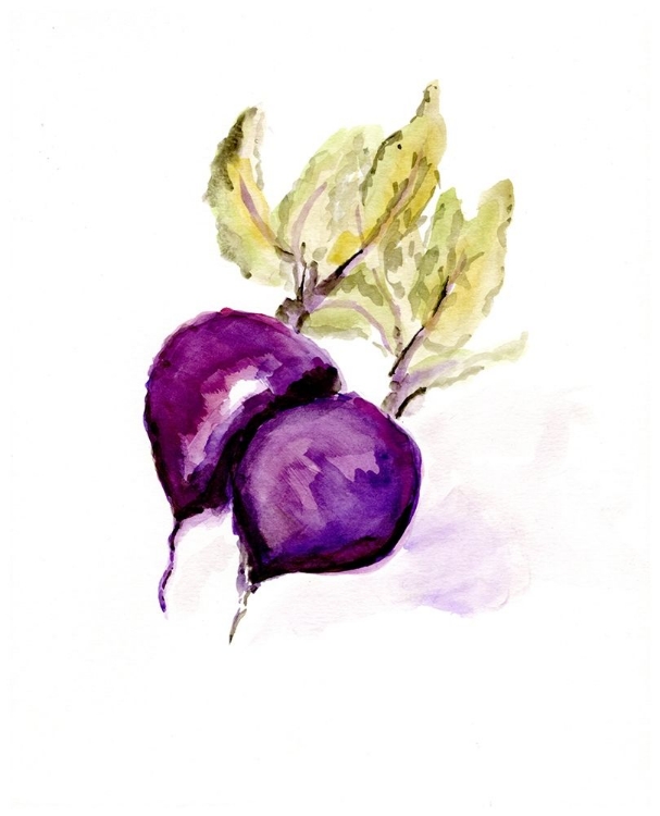 Picture of VEGGIE SKETCH PLAIN  III-BEETS