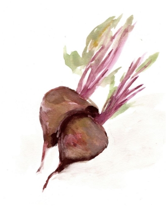 Picture of VEGGIE SKETCH PLAIN  IV-BROWN BEETS