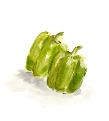 Picture of VEGGIE SKETCH PLAIN  VIII-GREEN PEPPER