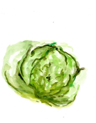 Picture of VEGGIE SKETCH PLAIN  IX-LETTUCE