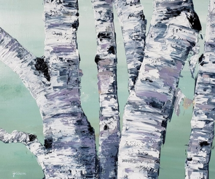 Picture of BIRCH TREE CLOSE UP  II