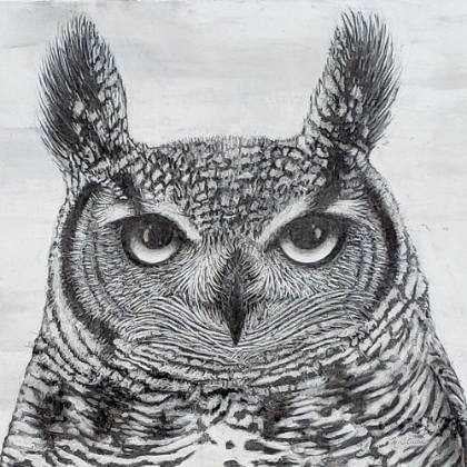 Picture of PORTRAIT OF AN OWL