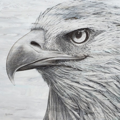 Picture of PORTRAIT OF AN EAGLE