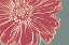 Picture of FLOWER POP SKETCH IV-RED