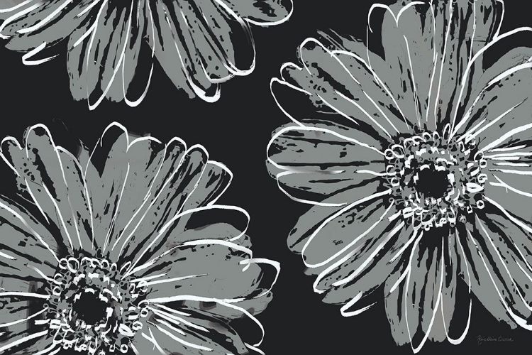 Picture of FLOWER POP SKETCH VII-BLACK BG