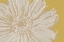 Picture of FLOWER POP SKETCH X-YELLOW BG