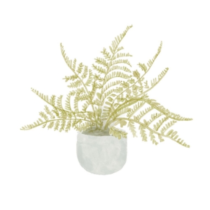 Picture of POTTED FERN I
