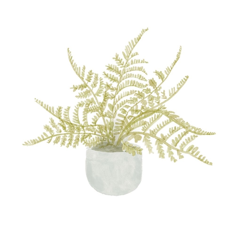 Picture of POTTED FERN I