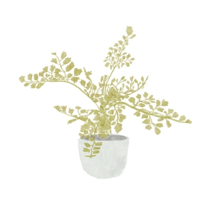 Picture of POTTED FERN III