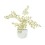 Picture of POTTED FERN III