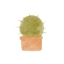 Picture of WATERCOLOR CACTUS III