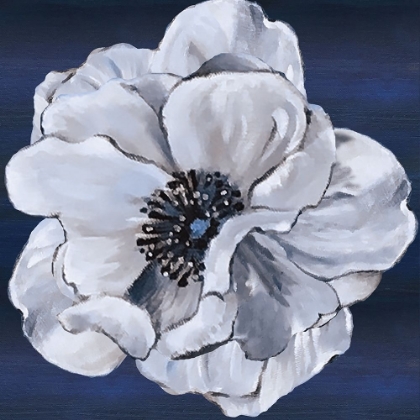 Picture of BLUE AND WHITE FLORAL IV