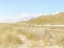 Picture of SEAGRASS  DUNES