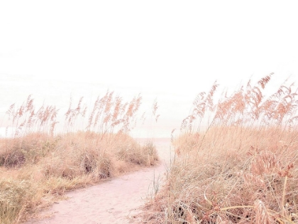 Picture of WALK  THROUGH THE GRASSES