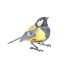 Picture of SONGBIRD  III